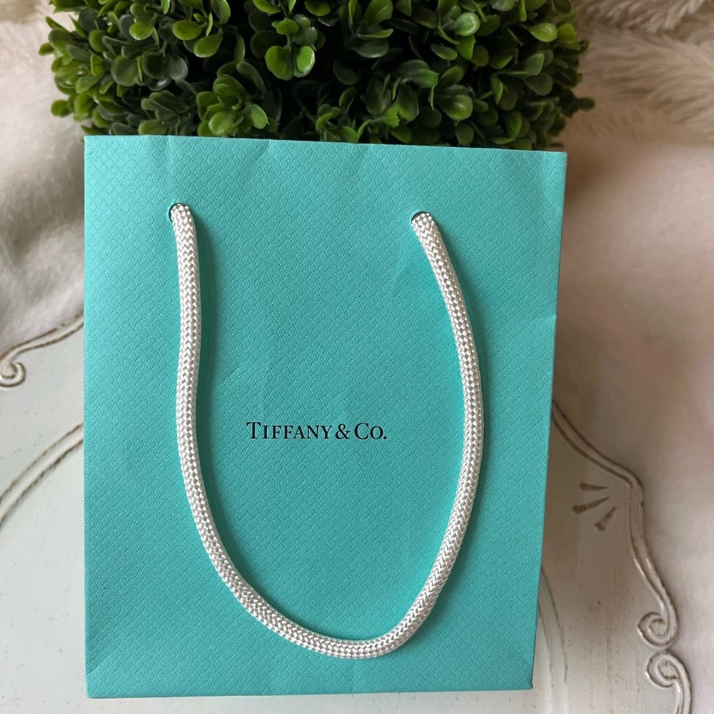 Tiffany Paper Shopper Tote Gift Bag with Handle